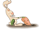 coniglio tira carota.gif